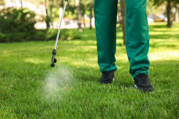 Best Bed Bug Extermination  in Dalhart, TX