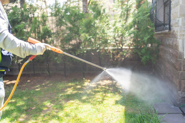 Best Mosquito Control Services  in Dalhart, TX
