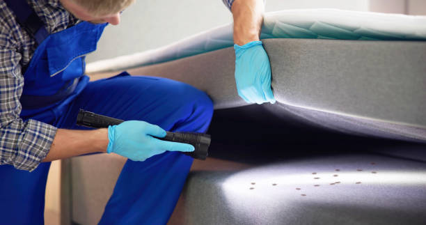 Best Affordable Pest Control Services  in Dalhart, TX